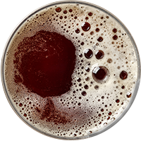 http://www.brasserievendale.com/wp-content/uploads/2022/02/beer_transparent_02.png